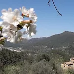 Joyeux - Le Lys - En Cevennes Hytte *