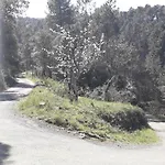 Hytte Joyeux - Le Lys - En Cevennes