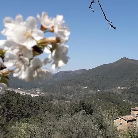 Joyeux - Le Lys - En Cevennes Chata *