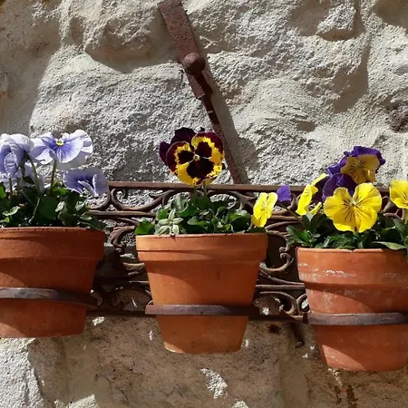 Lodge Joyeux - Le Lys - En Cévennes *