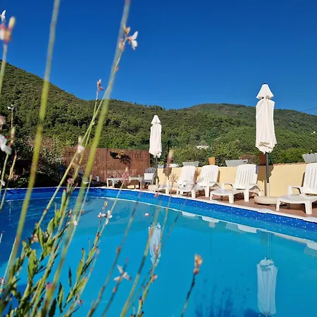 Joyeux - Le Lys - En Cevennes * Saint-Florent-sur-Auzonnet