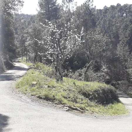 Chata Joyeux - Le Lys - En Cevennes