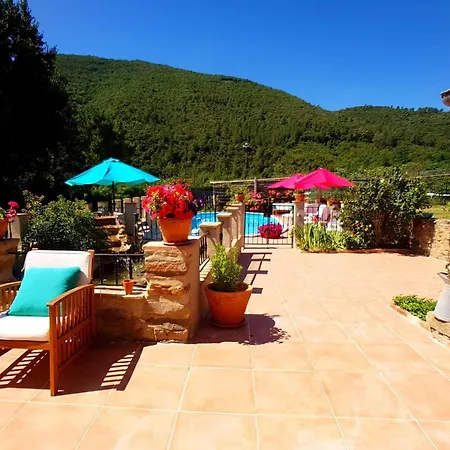 Joyeux - Le Lys - En Cevennes Saint-Florent-sur-Auzonnet
